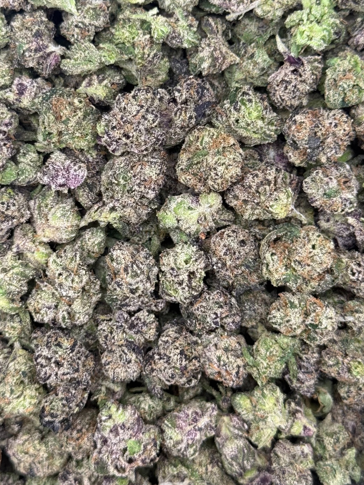 Daily drop
